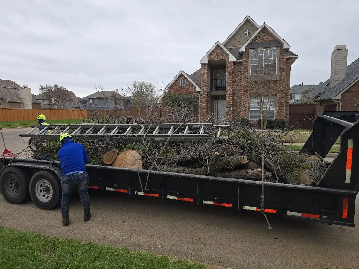 Expert Lot Clearing with proper safety equipment in Oktaha